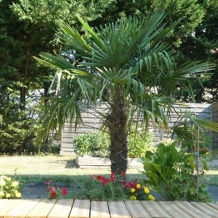 فندق Chambre D'Hote Le Sablonnet Ciran المظهر الخارجي الصورة